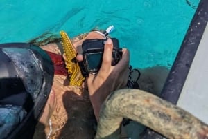 SANSIBAR: Snorklaus sinisessä laguunissa, meritähtiä ja Rock-ravintola