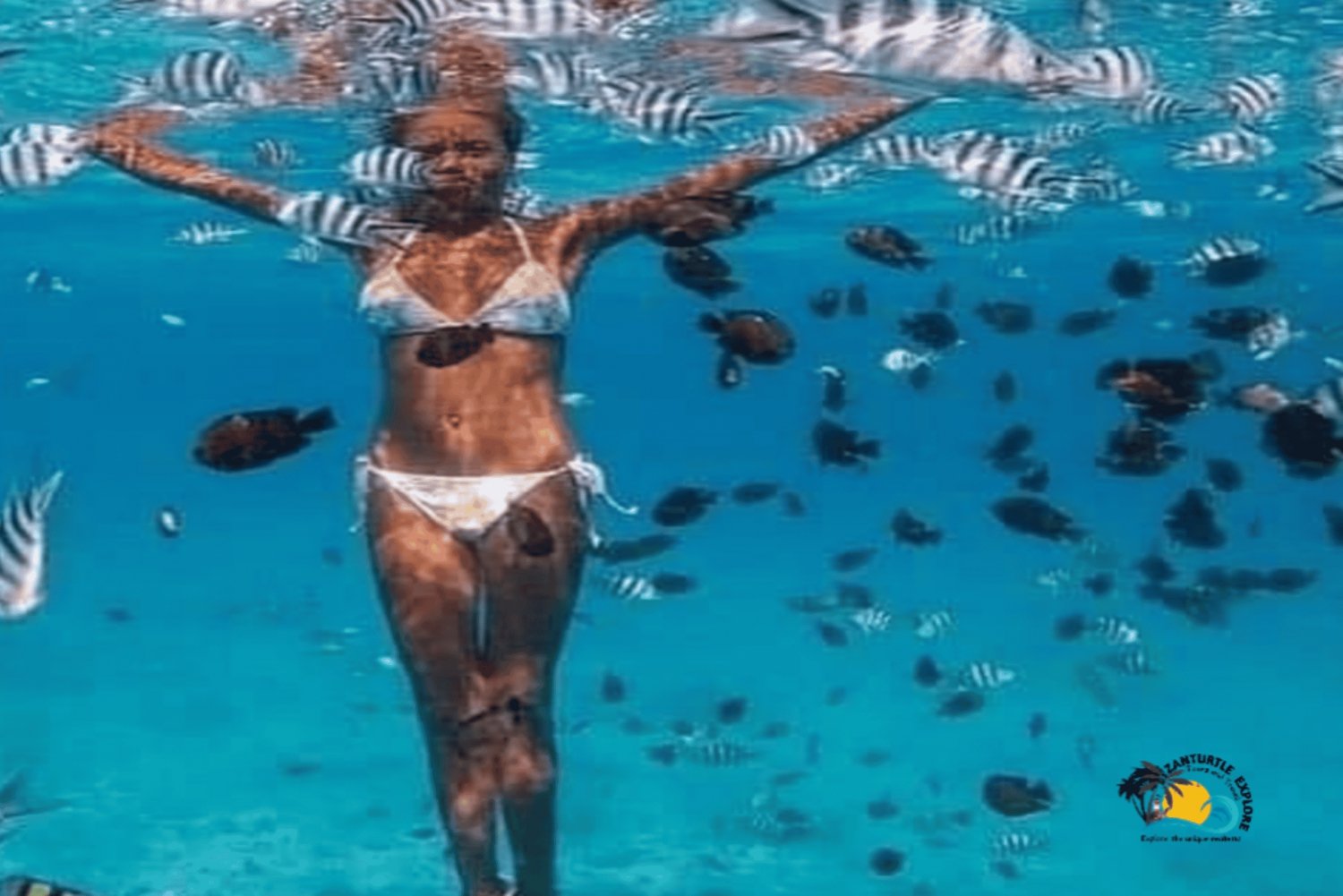 Zanzibar: Blue Lagoon, zeesterren en Jozani Forest Tour