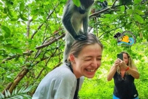 Zanzibar: Blue Lagoon, zeesterren en Jozani Forest Tour
