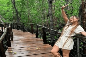 Zanzibar: Blue Lagoon, zeesterren en Jozani Forest Tour