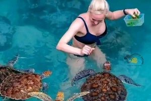 Zanzibar: Den Blå Lagune, Søstjerner, Kuza-grotten og Svømning med Skildpadder