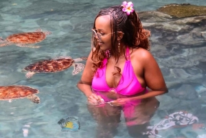 Zanzibar: Den Blå Lagune, Søstjerner, Kuza-grotten og Svømning med Skildpadder