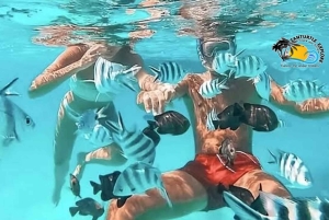 Zanzibar: Den Blå Lagune, Søstjerner, Kuza-grotten og Svømning med Skildpadder