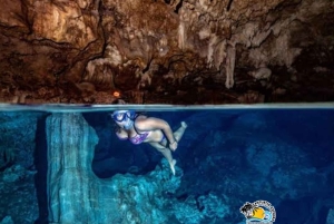 Zanzibar: Den Blå Lagune, Søstjerner, Kuza-grotten og Svømning med Skildpadder