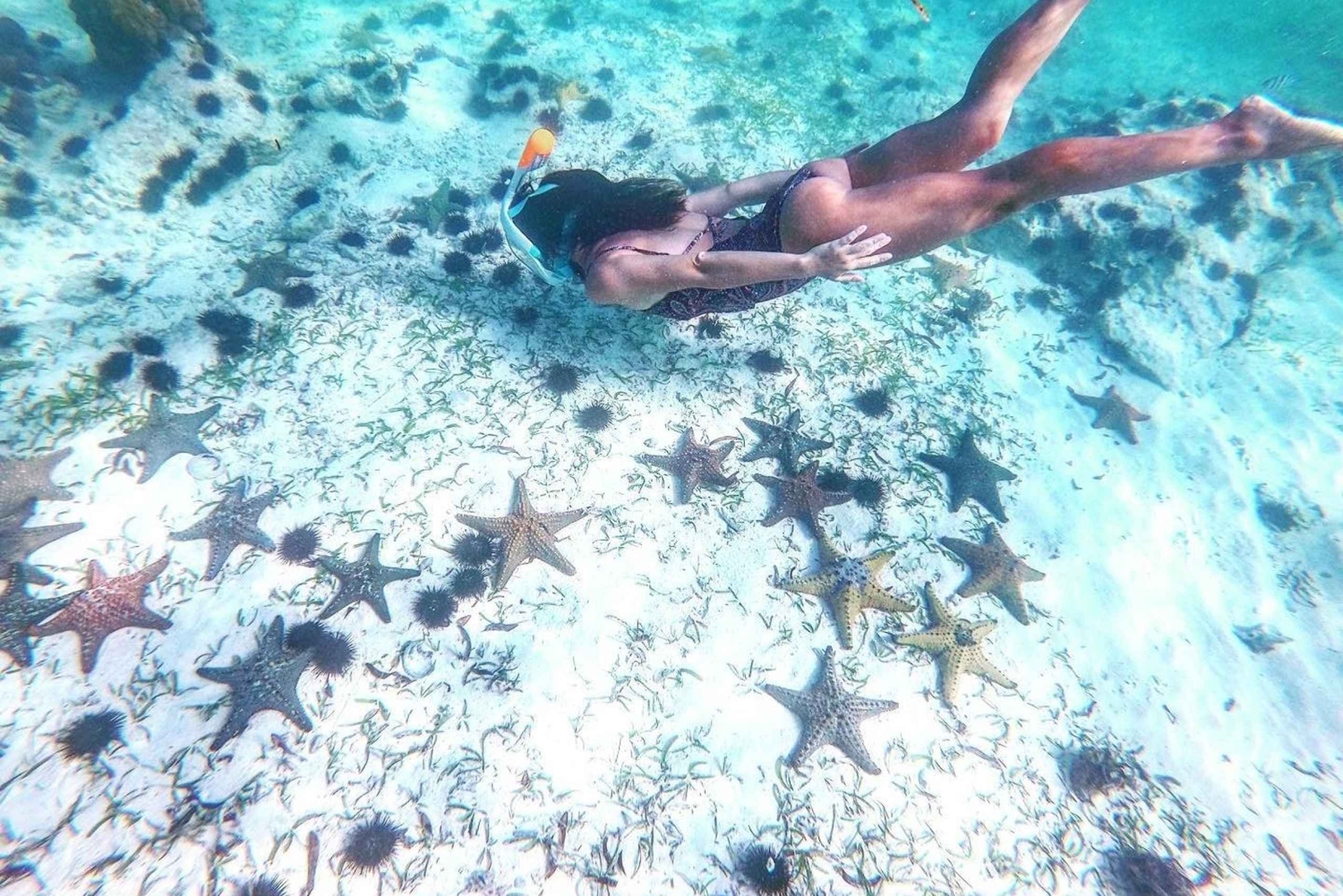 Zanzibar: Blå lagune, søstjerner, Paje Beach og Maalum Cave