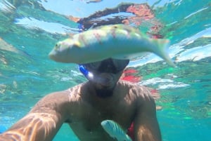 Zanzibar: Blue lagoon, Starfish, Paje Beach and Maalum Cave