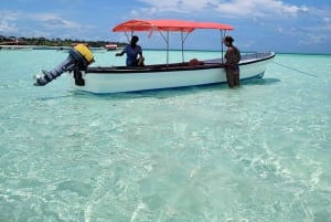 Zanzibar: Blue lagoon, Starfish, Paje Beach and Maalum Cave