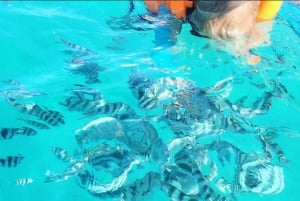 Zanzibar: Blue lagoon, Starfish, Paje Beach and Maalum Cave