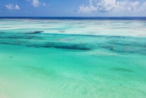 Zanzibar: Blue lagoon, Starfish, Paje Beach and Maalum Cave