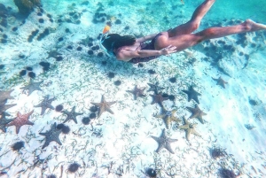 Zanzibar: Blå lagune, søstjerner, Paje Beach og Maalum Cave