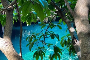Zanzibar: Blå lagune, søstjerner, Paje Beach og Maalum Cave