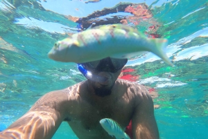 Zanzibar: Blå lagune, søstjerner, Paje Beach og Maalum Cave