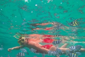 Zanzibar: Blå lagune, søstjerner, Paje Beach og Maalum Cave