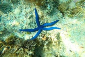Zanzibar: Blå lagune, søstjerner, Paje Beach og Maalum Cave
