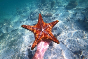 Zanzibar: Blå lagune, søstjerner, Paje Beach og Maalum Cave