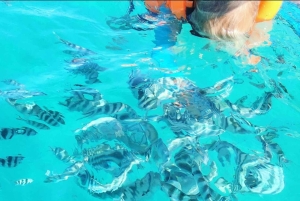 Zanzibar: Blå lagune, søstjerner, Paje Beach og Maalum Cave