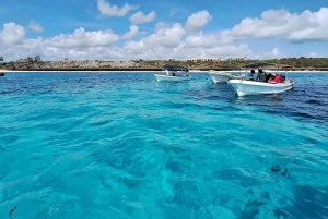 Zanzibar: Blå lagune, søstjerner, Paje Beach og Maalum Cave