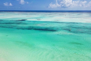Zanzibar: Blå lagune, søstjerner, Paje Beach og Maalum Cave