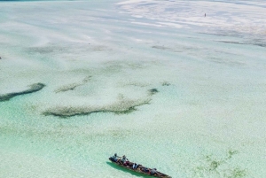 Zanzibar: Blå lagune, søstjerner, Paje Beach og Maalum Cave