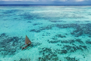 Zanzibar: Blå lagune, søstjerner, Paje Beach og Maalum Cave
