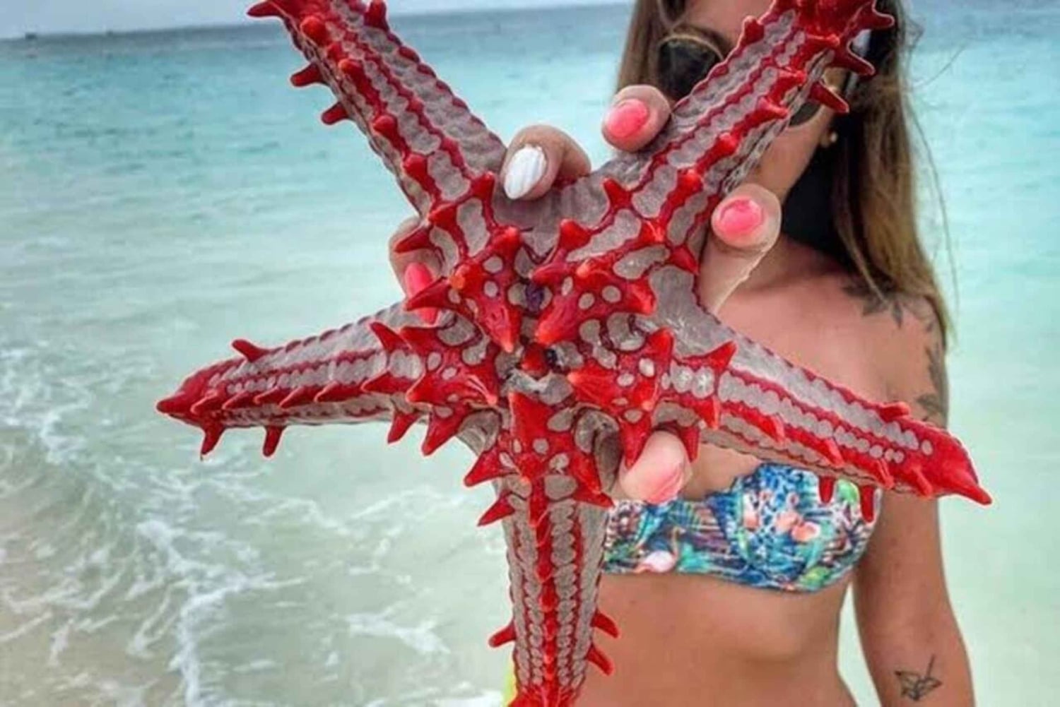 Zanzibar: Blå lagune, søstjerner og skildpadder ved Salaam-grotten