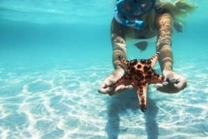 Zanzibar: Blå lagune, søstjerner og skildpadder ved Salaam-grotten