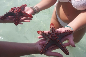 Zanzibar: Blue lagoon & Starfish