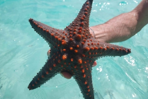 Zanzibar: Blue lagoon & Starfish