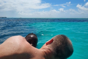 Zanzibar: Blue lagoon & Starfish