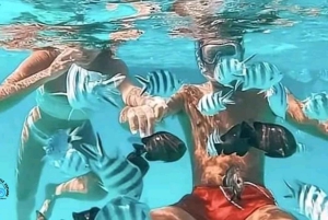 زنجبار: البحيرة الزرقاء ونجوم البحر والسلاحف في كهف سلام