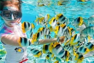 زنجبار: البحيرة الزرقاء ونجوم البحر والسلاحف في كهف سلام