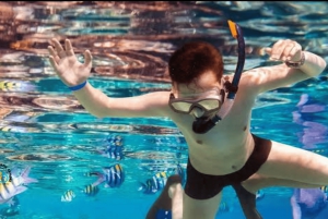 زنجبار: البحيرة الزرقاء ونجوم البحر والسلاحف في كهف سلام