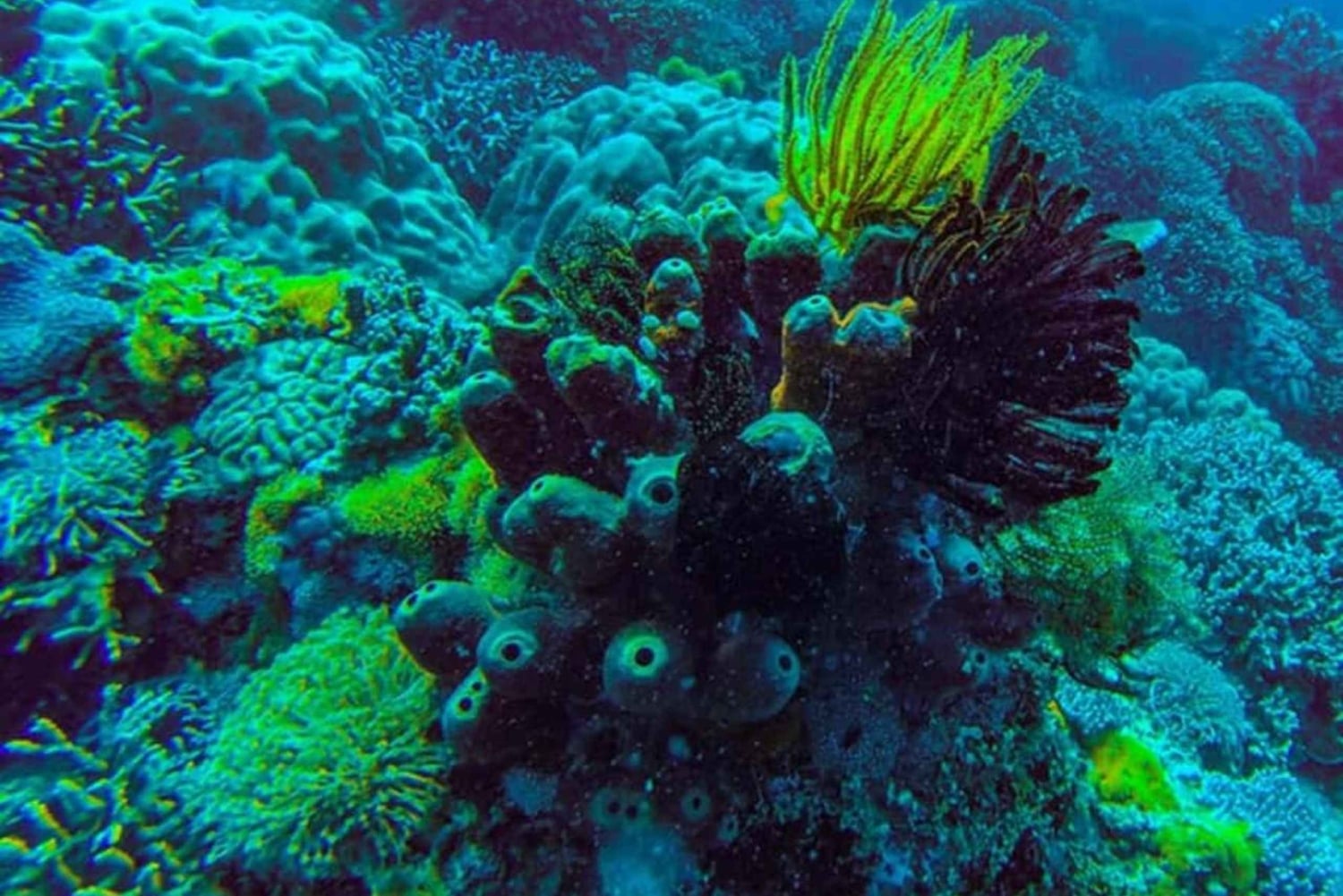 ЗАНЗИБАР: Голубая лагуна, ресторан The Rock и Тюремный остров