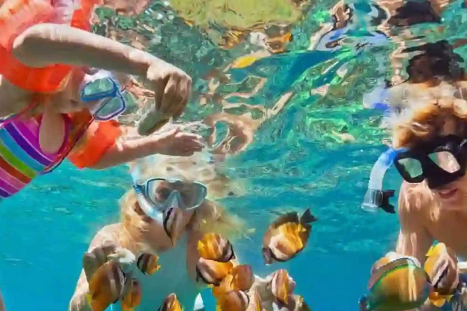 ЗАНЗИБАР: Голубая лагуна, ресторан The Rock и Тюремный остров