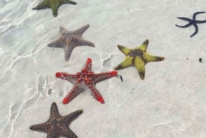 ЗАНЗИБАР: Голубая лагуна, ресторан The Rock и Тюремный остров