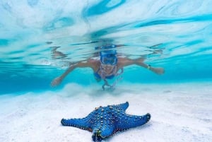 Zanzibar: Blue Lagoon -retki meritähtien ja snorklauksella