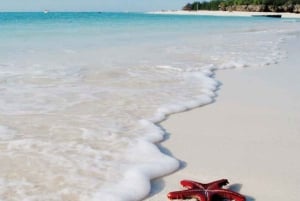 Zanzibar: Blue Lagoon -retki meritähtien ja snorklauksella