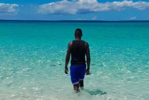 ザンジバル：ブルーラグーン・ツアー