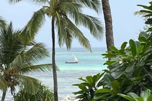 ザンジバル：ブルーラグーン・ツアー