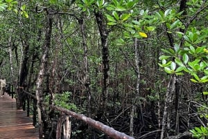 ザンジバル：ブルーラグーン・ツアー