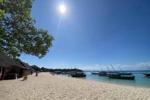 Sansibar: Safari Blue Tagesausflug mit Schnorcheln und Mittagessen