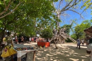 Sansibar: Safari Blue Tagesausflug mit Schnorcheln und Mittagessen