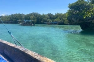 Sansibar: Safari Blue Tagesausflug mit Schnorcheln und Mittagessen