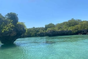 Sansibar: Safari Blue Tagesausflug mit Schnorcheln und Mittagessen