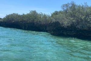 Sansibar: Safari Blue Tagesausflug mit Schnorcheln und Mittagessen