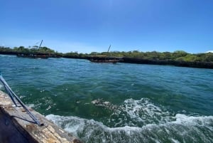 Sansibar: Safari Blue Tagesausflug mit Schnorcheln und Mittagessen