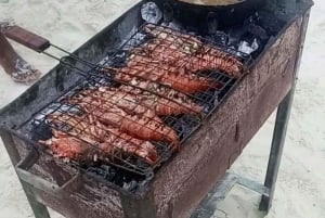 ZANZIBAR: Blue Safaris + aventura completa, mergulho com snorkel + almoço