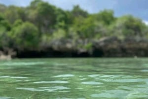 ZANZIBAR: Blue Safaris + aventura completa, mergulho com snorkel + almoço