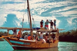 ZANZIBAR: Blue Safaris + aventura completa, mergulho com snorkel + almoço