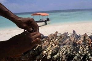 ZANZIBAR: Blue Safaris + aventura completa, mergulho com snorkel + almoço